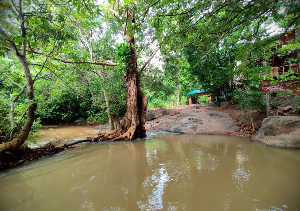 Sigiriya River Side Villa Εξωτερικό φωτογραφία