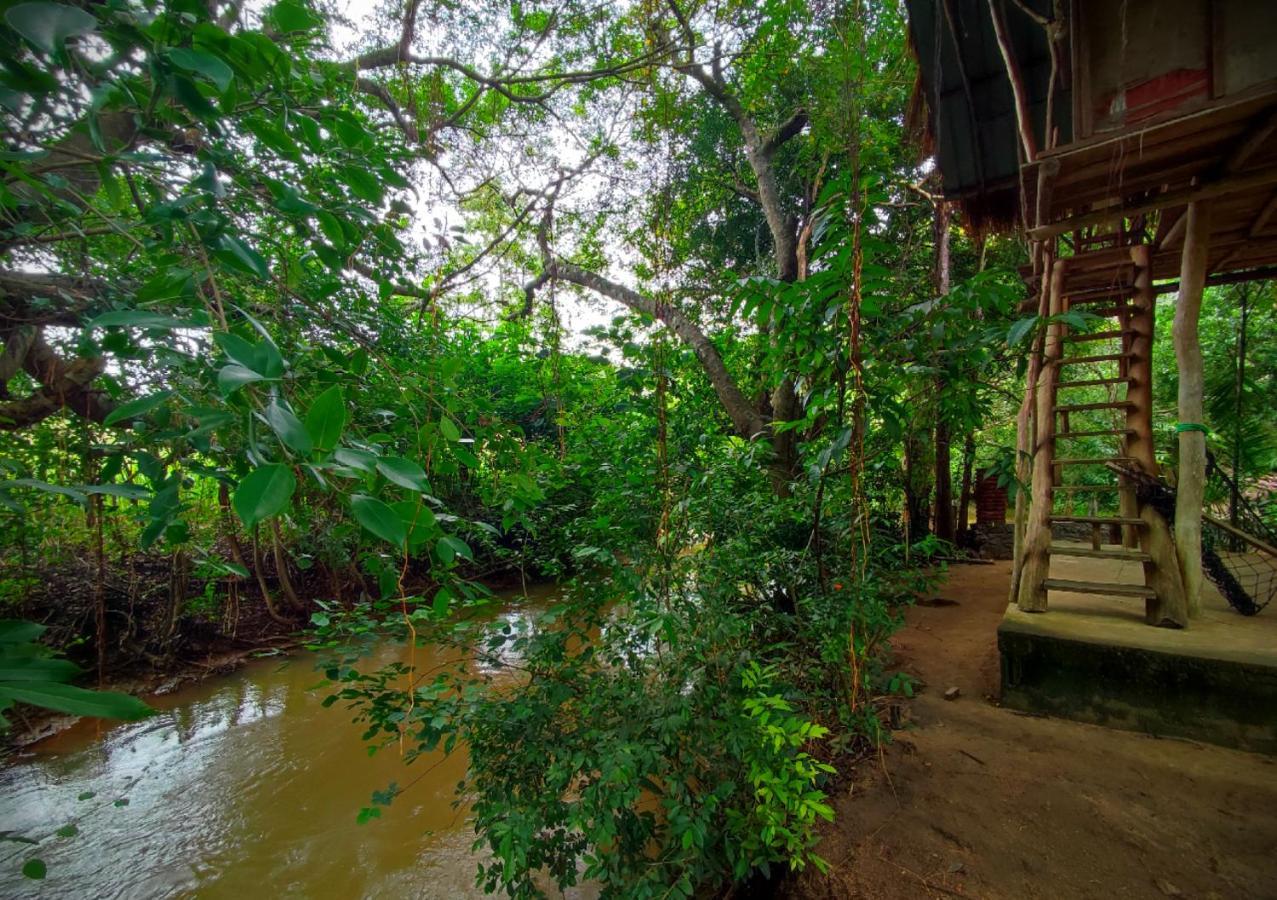 Sigiriya River Side Villa Εξωτερικό φωτογραφία