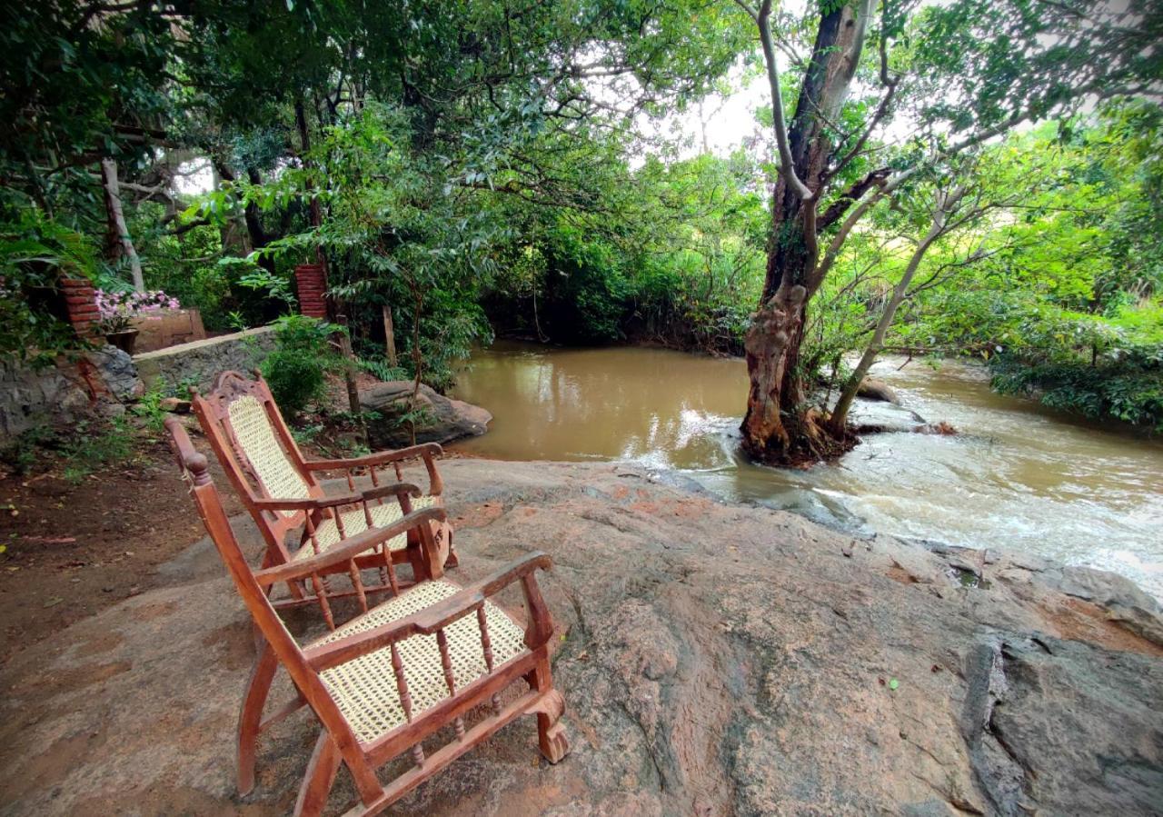 Sigiriya River Side Villa Εξωτερικό φωτογραφία