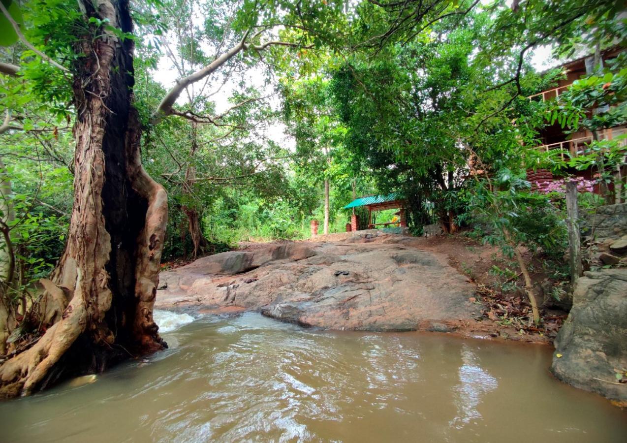 Sigiriya River Side Villa Εξωτερικό φωτογραφία