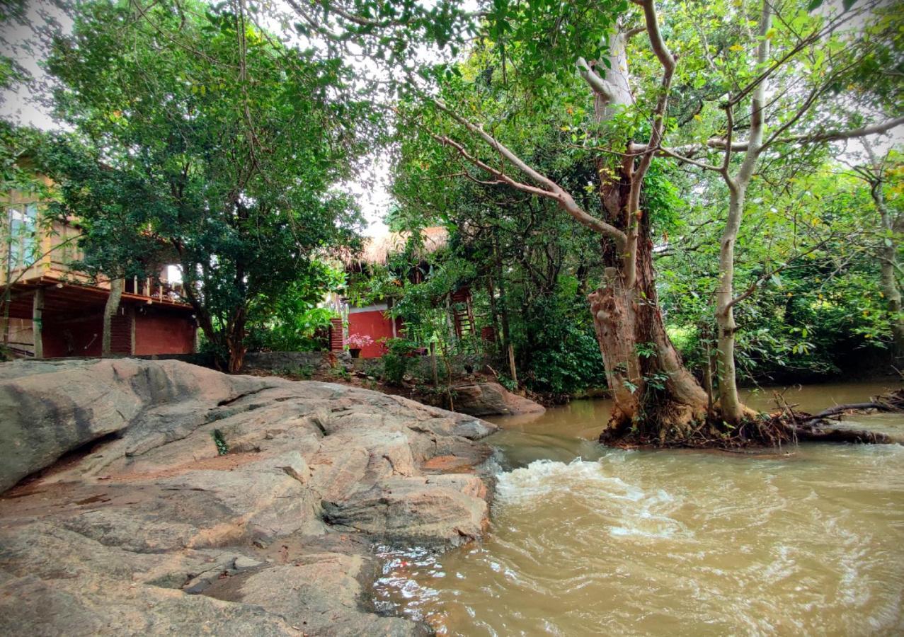 Sigiriya River Side Villa Εξωτερικό φωτογραφία