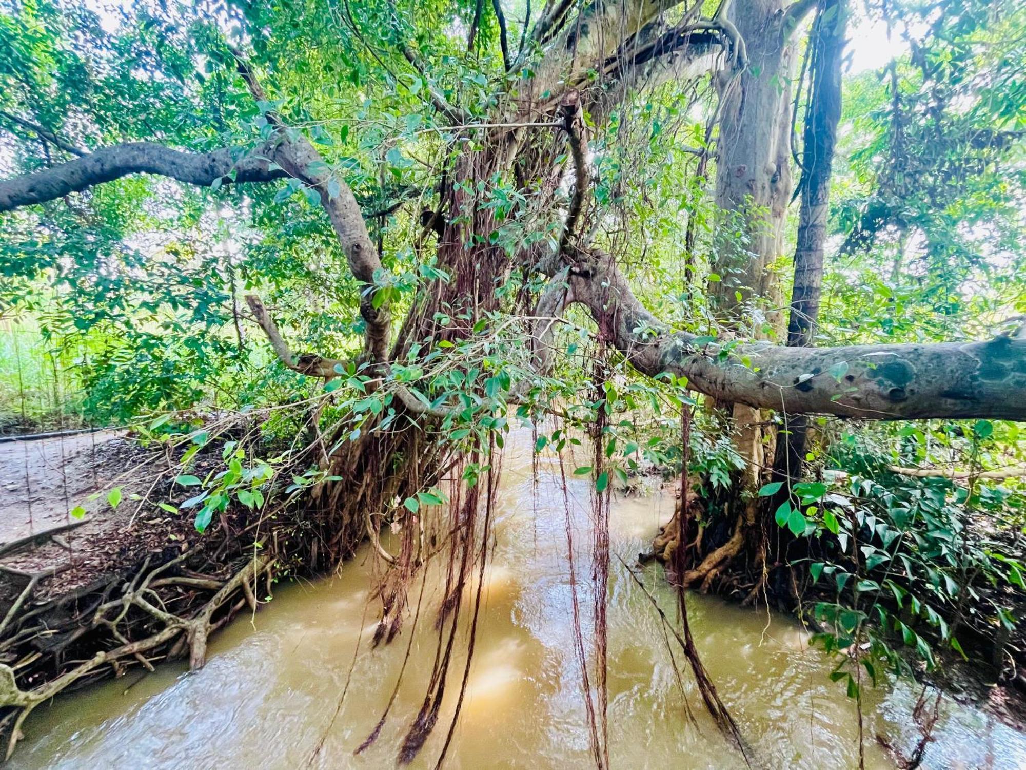 Sigiriya River Side Villa Εξωτερικό φωτογραφία