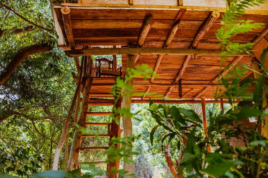 Sigiriya River Side Villa Εξωτερικό φωτογραφία