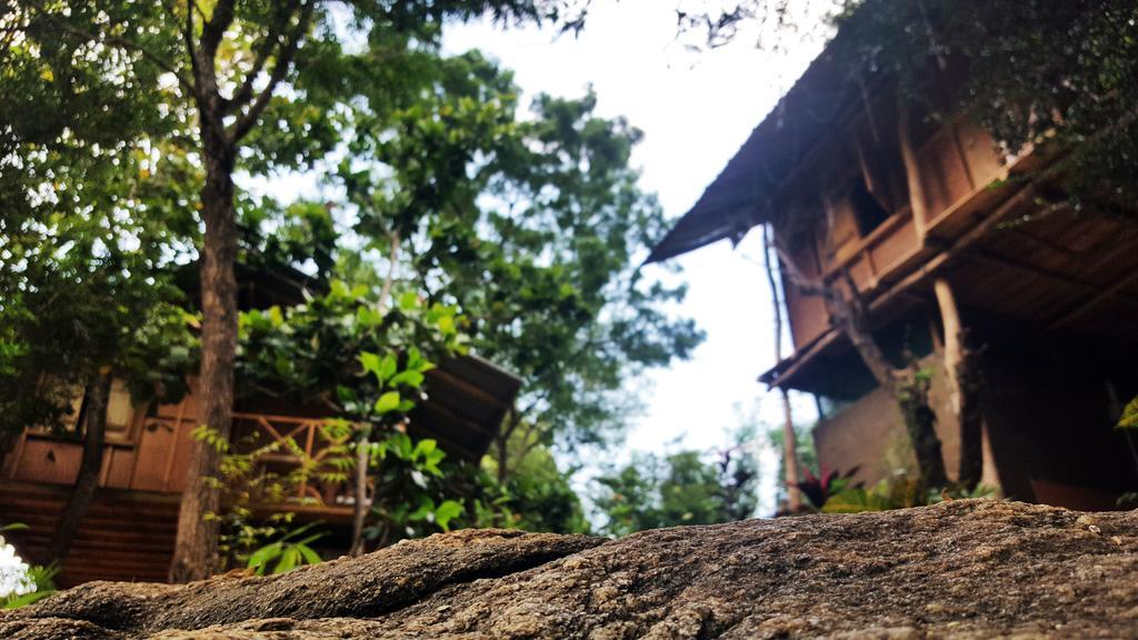 Sigiriya River Side Villa Εξωτερικό φωτογραφία