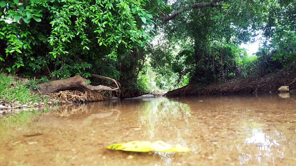 Sigiriya River Side Villa Εξωτερικό φωτογραφία